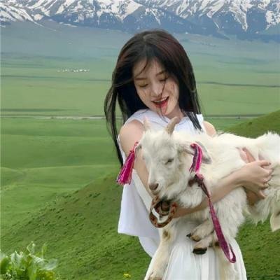 南风知我意